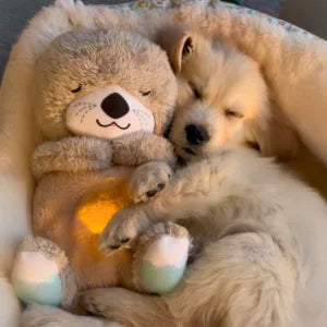 Breathing Teddy Bear with Music & Light – Comforting Plush Toy for Babies Urban Mega Mart